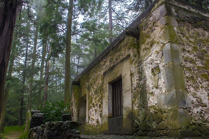Hike Desierto de los Leones: Ex-Convent, Lago de los Gansos & Pulque Tasting