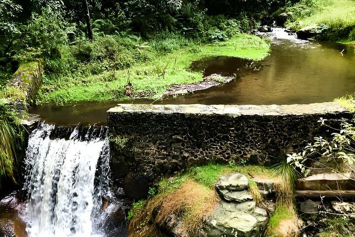 Hike Desierto de los Leones: Ex-Convent, Lago de los Gansos & Pulque Tasting photo 3