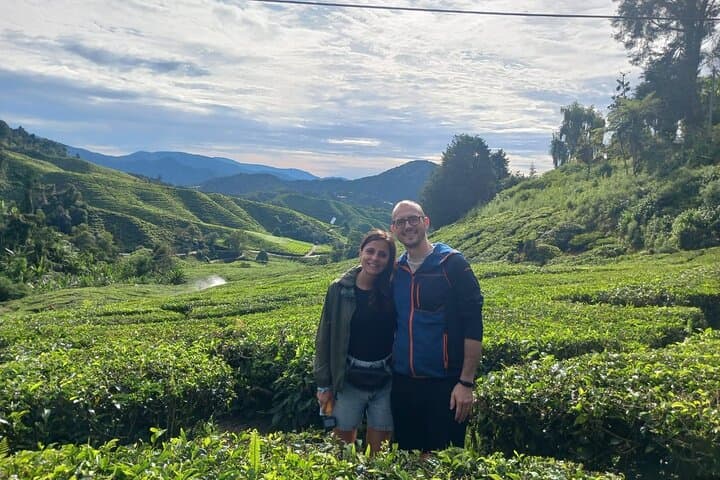 Cameron Highlands Private Day Tour from Ipoh: Tea Plantations, Strawberry Farms & Markets photo 3