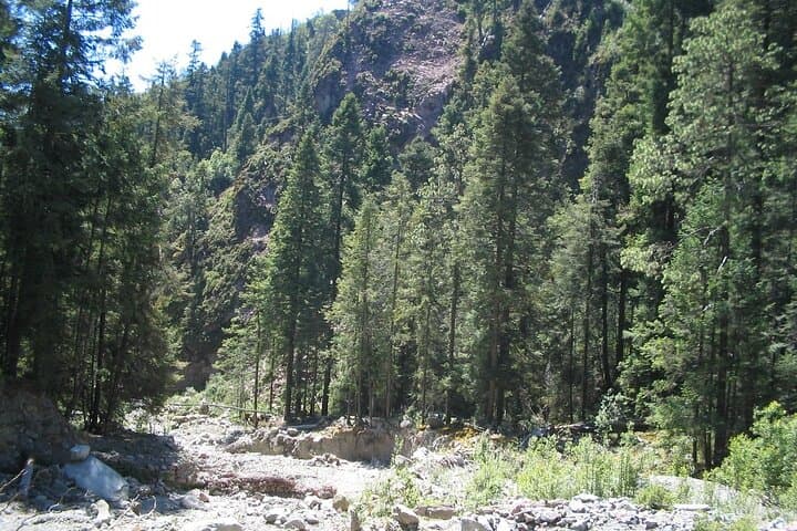 Hike Desierto de los Leones: Ex-Convent, Lago de los Gansos & Pulque Tasting photo 6