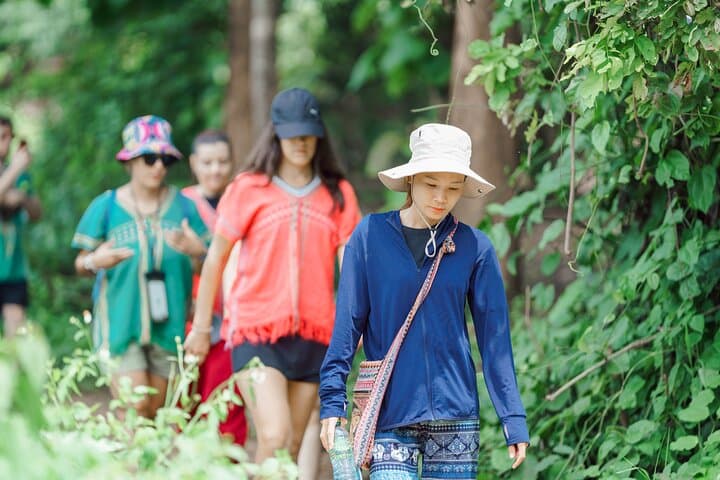 Full-Day Elephant Sanctuary Mahout Experience near Chiang Mai photo 4