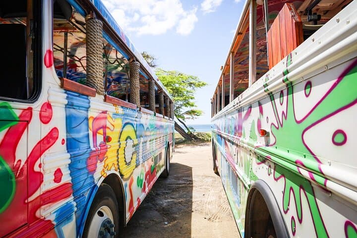 Create Your Own Aruba Island Tour: Beaches, Lighthouses & Snorkeling photo 6