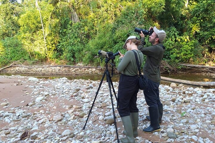 4-Day Manu National Park Jungle Tour from Cusco photo 6