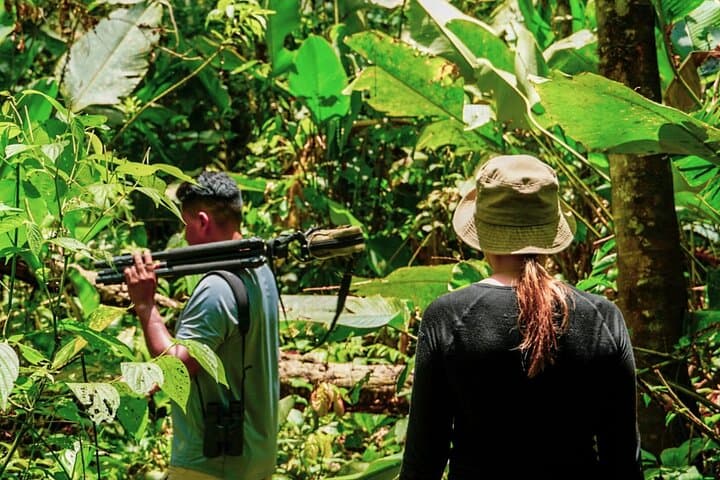 6-Day Manu Jungle Adventure: Amazon Wildlife, Parrot Clay Licks & Jaguar Spotting photo 2