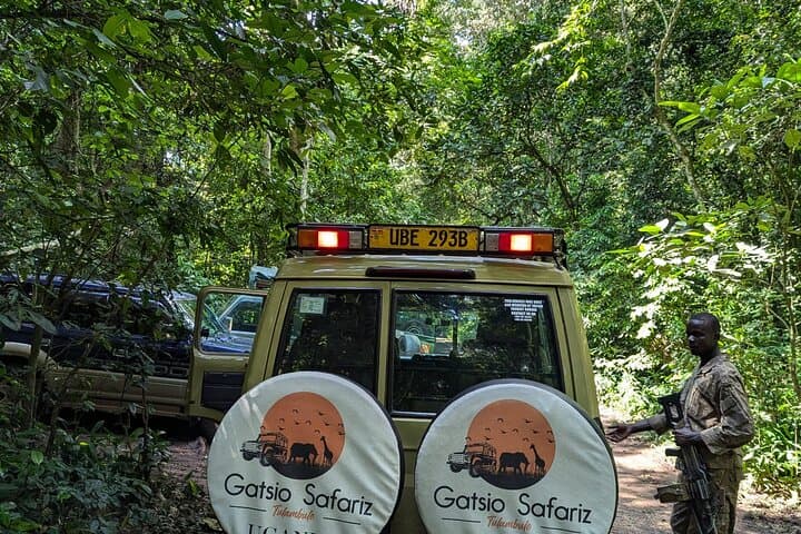 3-Day Kibale Chimpanzee Trekking: Kibale National Park Primate Safari photo 2