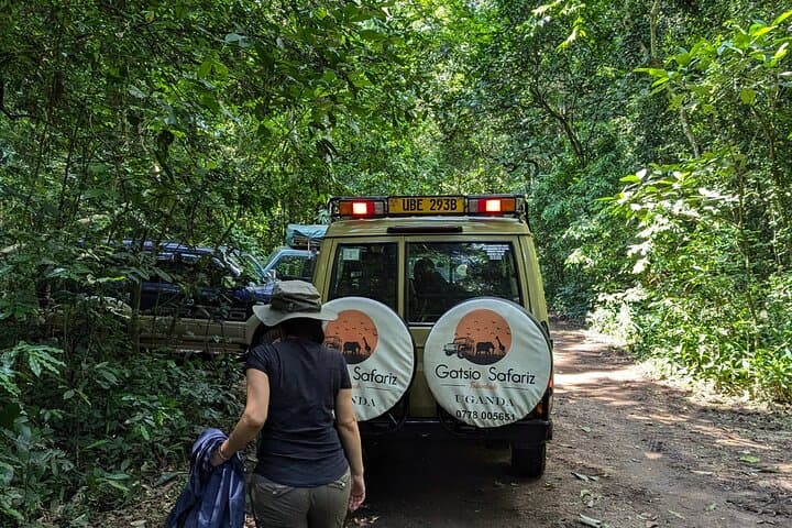 3-Day Kibale Chimpanzee Trekking: Kibale National Park Primate Safari photo 3