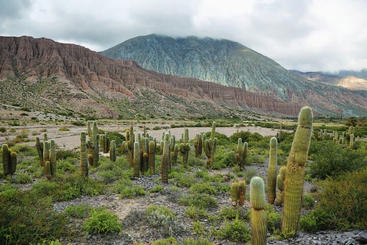 4-Day Salta & Quebrada de Humahuaca: Train to the Clouds Optional Adventure photo 5