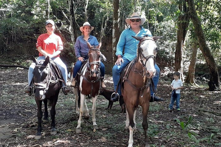 Horseback Riding Near Panama City: Cerro Azul Trails & River Swims photo 2