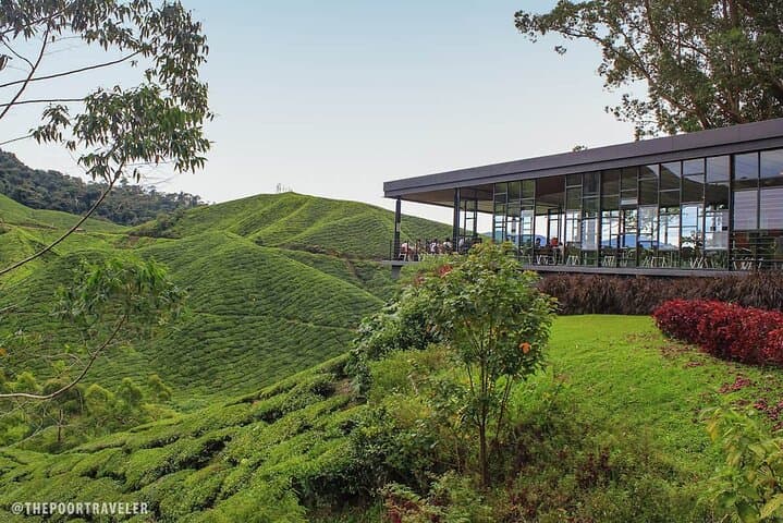 Cameron Highlands Private Day Tour from Ipoh: Tea Plantations, Strawberry Farms & Markets