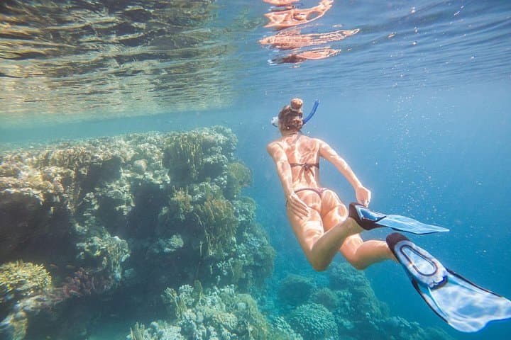 Hurghada Speed Boat to Abo Munkar: 4-Hour Semi-Private Snorkel & Island Stop photo 3