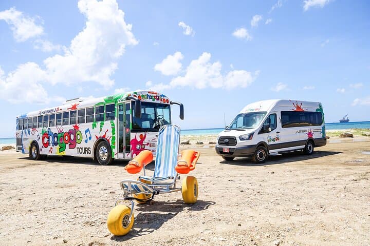 Private Aruba Beach Hop & Snorkel Tour — Mangel Halto to Baby Beach photo 4