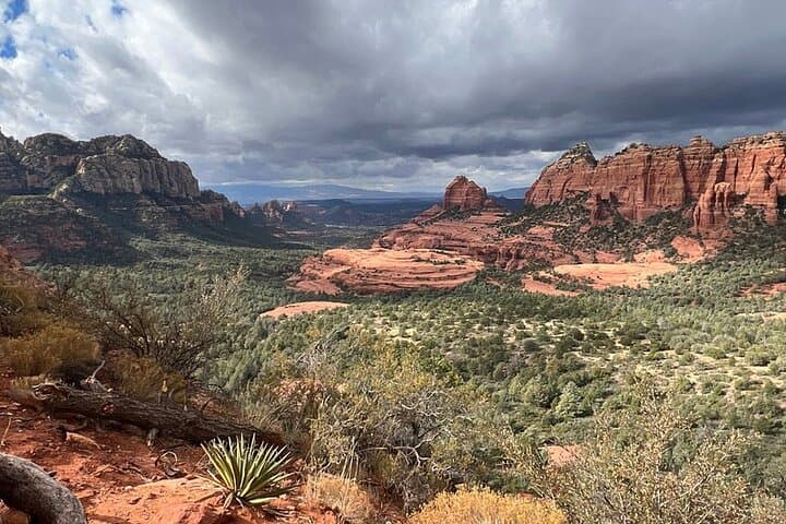 Exploring Arizona’s Mogollon Rim: The Ultimate Off-Road Jeep Adventure from Sedona photo 4