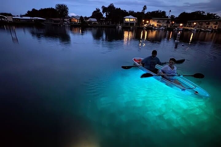 Clear Kayak Manatee Viewing Sunset & Glow Tour — Crystal River Kings Bay photo 4