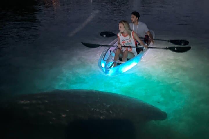 Clear Kayak Manatee Viewing Sunset & Glow Tour — Crystal River Kings Bay photo 2