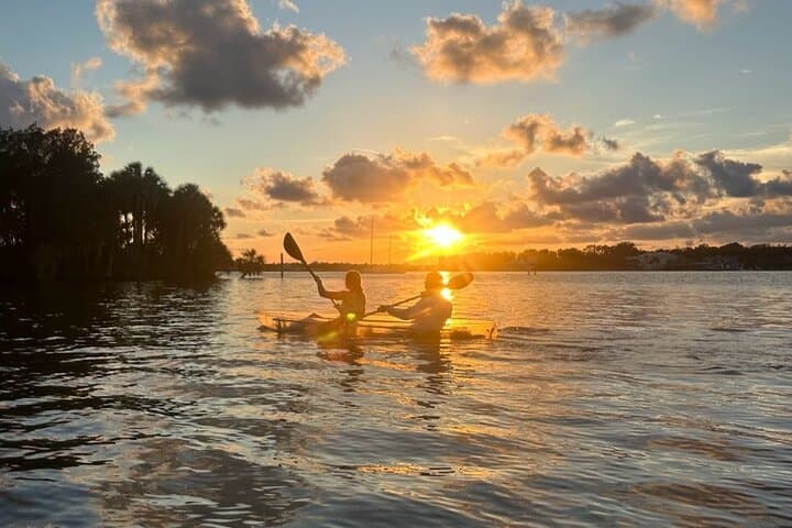 Clear Kayak Manatee Viewing Sunset & Glow Tour — Crystal River Kings Bay