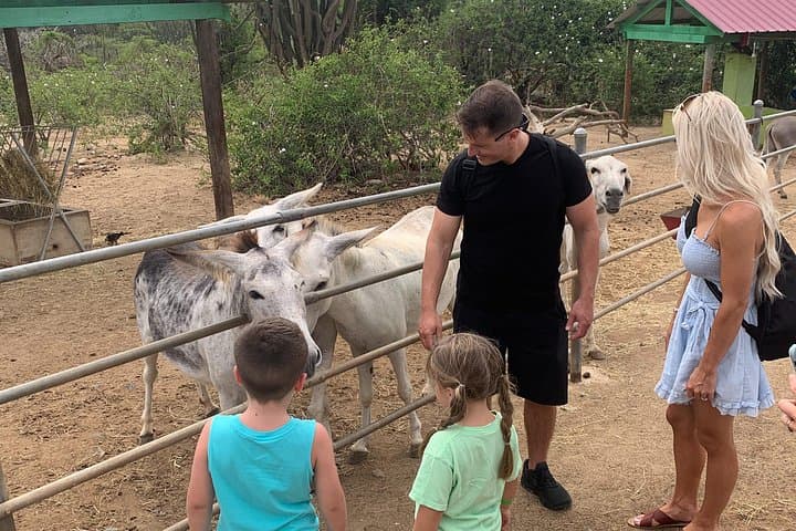 Aruba Private Island Tour: Aloe Farms, Donkeys & California Lighthouse photo 4