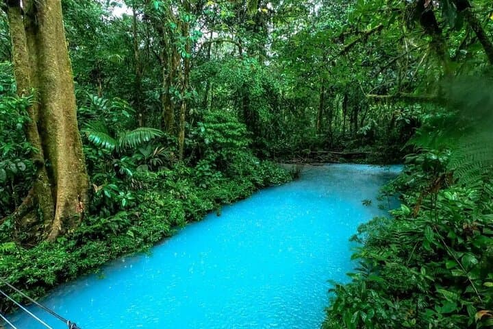 Rio Celeste Waterfall Tour — Tenorio Volcano National Park Guide photo 3