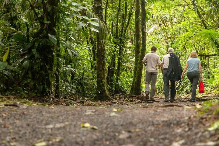Rio Celeste Waterfall Tour — Tenorio Volcano National Park Guide photo 4