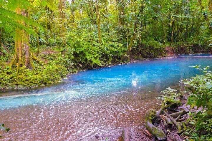 Rio Celeste Waterfall Tour — Tenorio Volcano National Park Guide photo 6