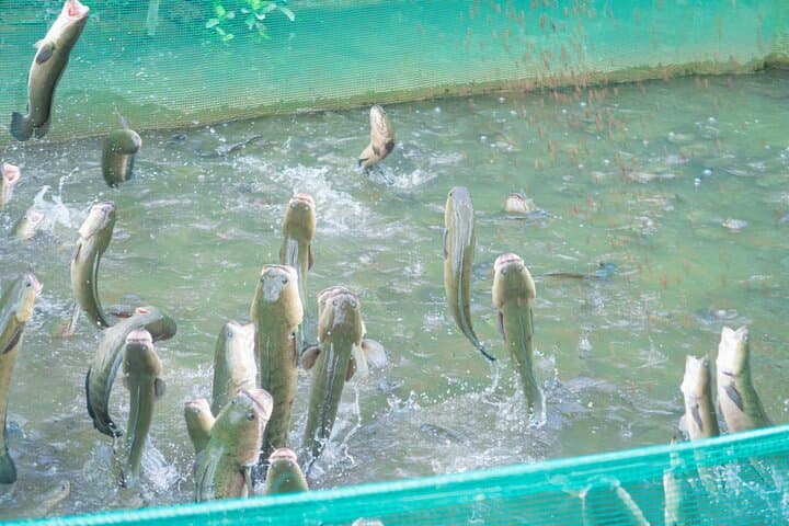 3-Day Mekong Delta Boat Adventure: My Tho, Can Tho & Chau Doc photo 4