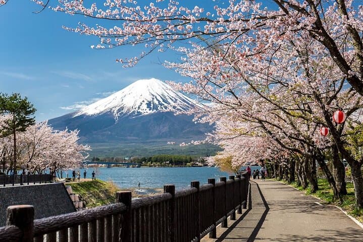Mt Fuji & Hakone Private Day Tour from Tokyo — 5th Station, Lake Ashi & Ropeway photo 3