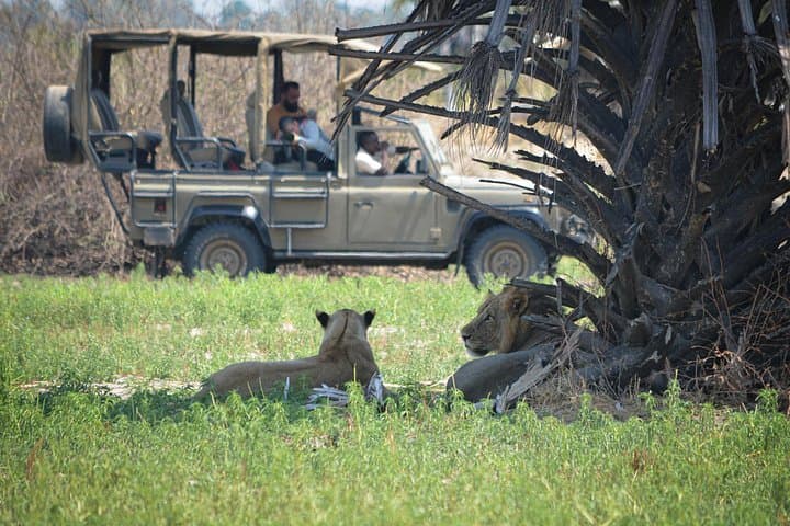 Selous Game Reserve 1-Day Safari from Zanzibar: Flights, Game Drives & Bush Lunch photo 1