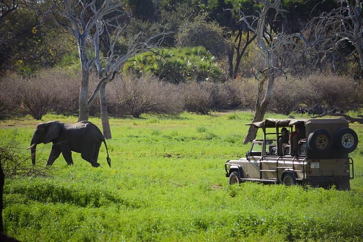Selous Game Reserve 1-Day Safari from Zanzibar: Flights, Game Drives & Bush Lunch photo 2