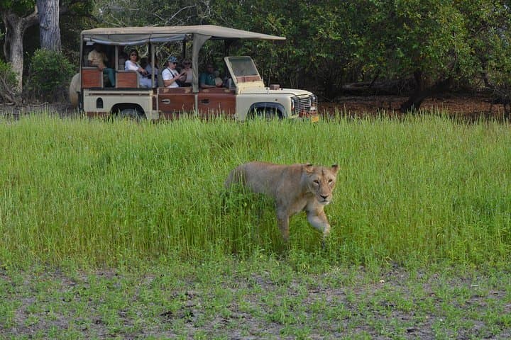 Selous Game Reserve 1-Day Safari from Zanzibar: Flights, Game Drives & Bush Lunch photo 4