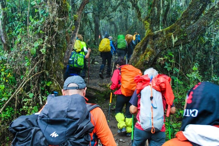 Shira Plateau Day Hike on Mount Kilimanjaro: A High-Altitude Introduction to Kibo photo 3