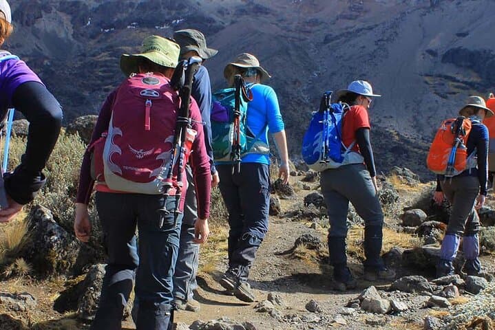 Shira Plateau Day Hike on Mount Kilimanjaro: A High-Altitude Introduction to Kibo photo 4