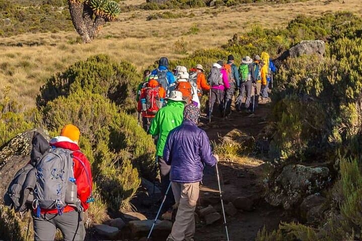 Shira Plateau Day Hike on Mount Kilimanjaro: A High-Altitude Introduction to Kibo photo 2