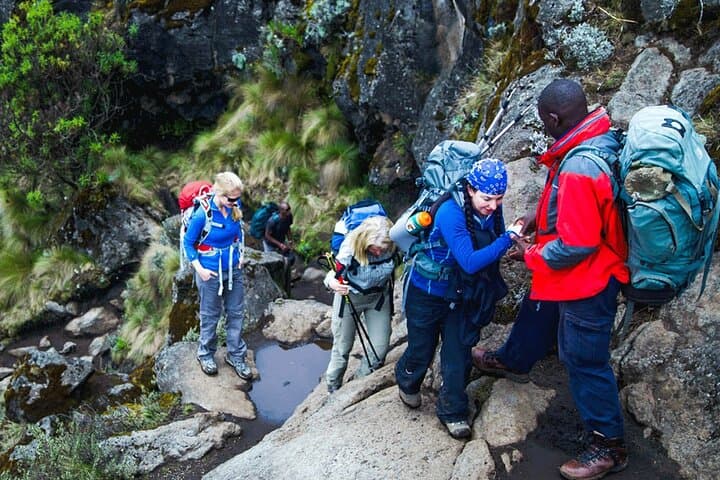 Mandara Hut Day Hike on Mount Kilimanjaro (Marangu Route) — From Arusha in One Day