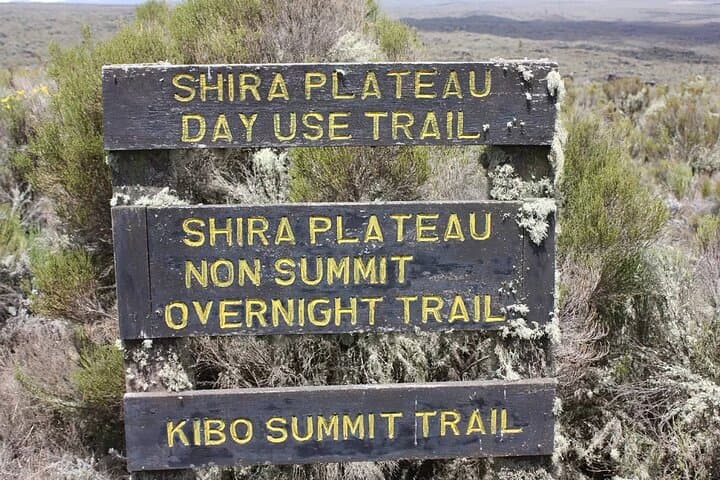 Kilimanjaro Day Trek to Shira Plateau & Maundi Crater: Rainforest Trails and Panoramic Views photo 2