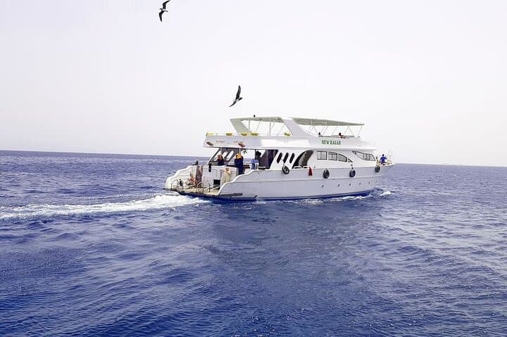 Hula Hula Island Day Trip: Parasailing, Snorkel Stops & Beach Lunch in Hurghada photo 4