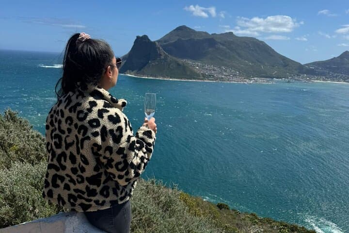Cape Peninsula Private Tour: Cape Point, Boulders Penguin Beach & Chapman's Peak photo 5