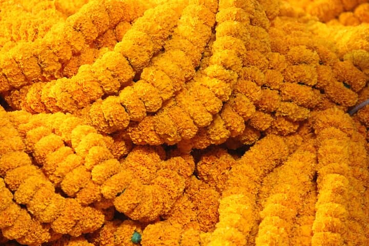 Kolkata Dawn: Flower Market Colors and Ganges Ghat Experience photo 2