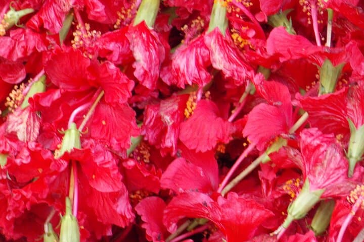 Kolkata Dawn: Flower Market Colors and Ganges Ghat Experience photo 6