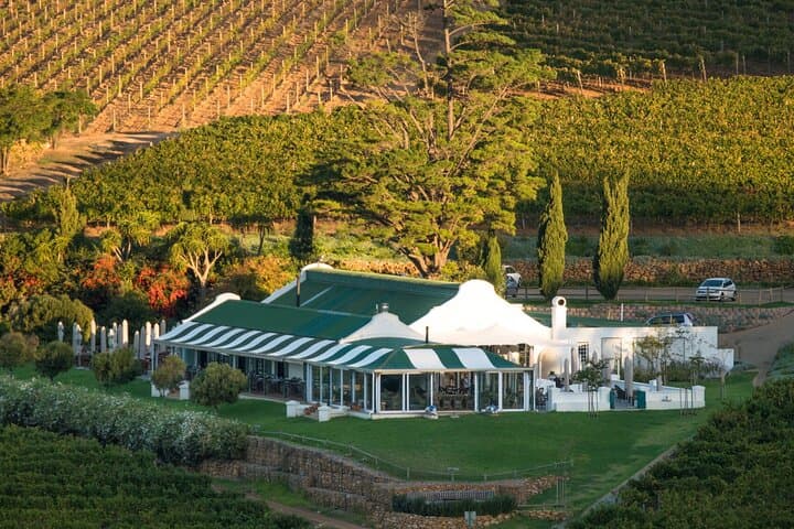 Cape Peninsula Private Full-Day Tour: Cape Point, Chapman's Peak & Boulders Beach photo 3