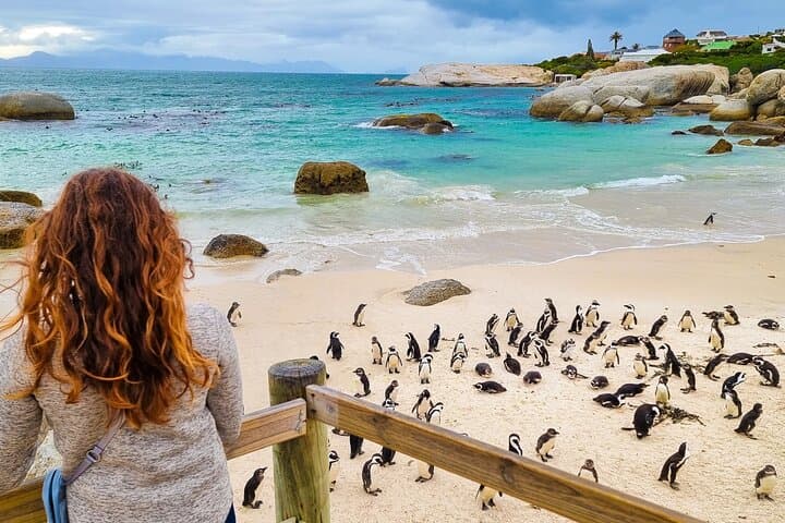 Cape Peninsula Private Full-Day Tour: Cape Point, Chapman's Peak & Boulders Beach photo 5