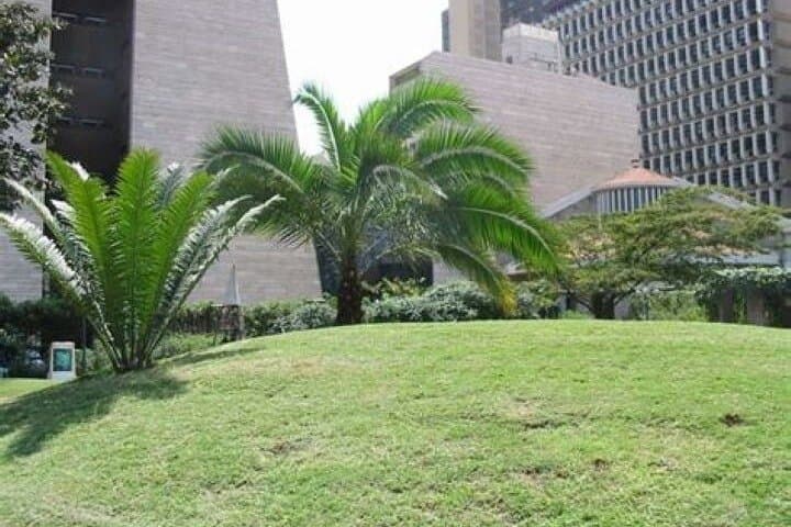 Nairobi City Center Day Tour: Museum, Snake Park & KICC Rooftop Views photo 4