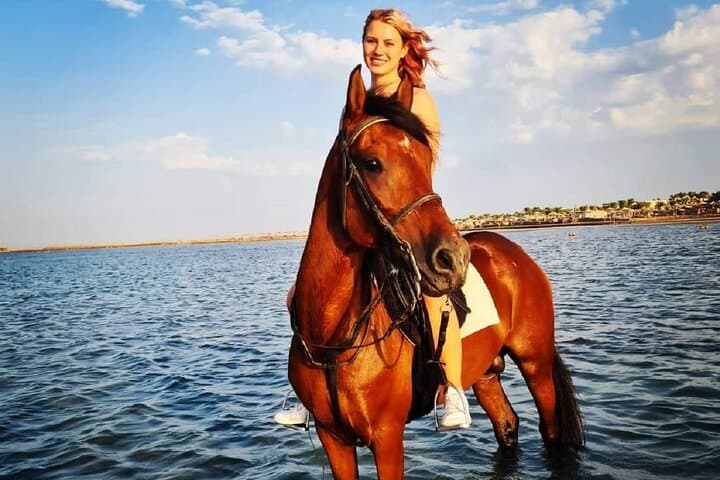 Horseback Riding and Swim with Horses in Hurghada: 4-Hour Beach & Desert Adventure photo 2