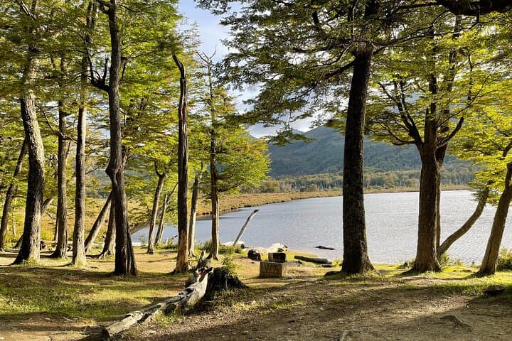 Puerto Almanza Nature Delights: Beagle Channel Day Tour from Ushuaia photo 4