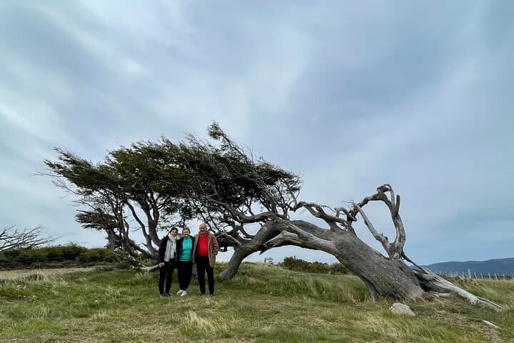 Puerto Almanza Nature Delights: Beagle Channel Day Tour from Ushuaia