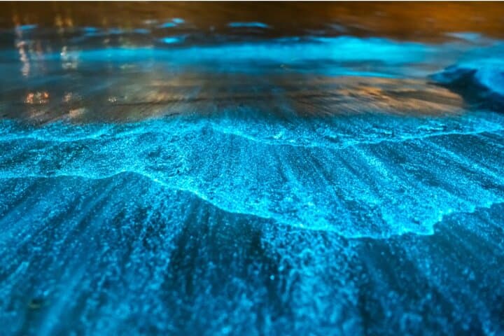 Kayak & SUP Bioluminescence Tour to Los Arcos, Puerto Vallarta photo 1