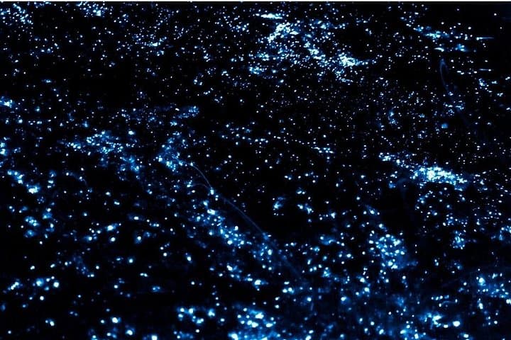 Kayak & SUP Bioluminescence Tour to Los Arcos, Puerto Vallarta photo 3
