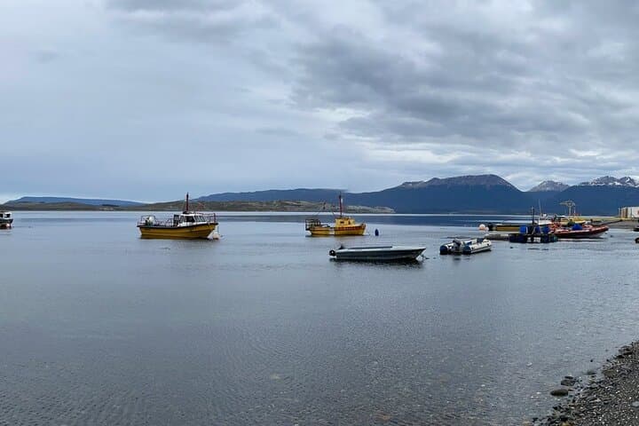 Puerto Almanza Nature Delights: Beagle Channel Day Tour from Ushuaia photo 5