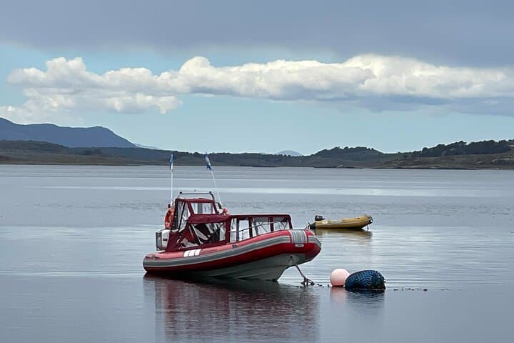 Puerto Almanza Nature Delights: Beagle Channel Day Tour from Ushuaia photo 6