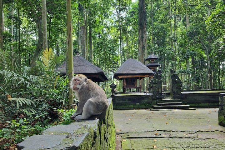 Bali Private Tour: Nung-Nung Waterfall, Sangeh & Tanah Lot Sunset photo 3