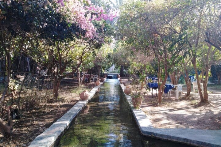 Tiout & Taroudant Day Trip: Oasis Walks, Kasbah Views and Local Souks photo 3
