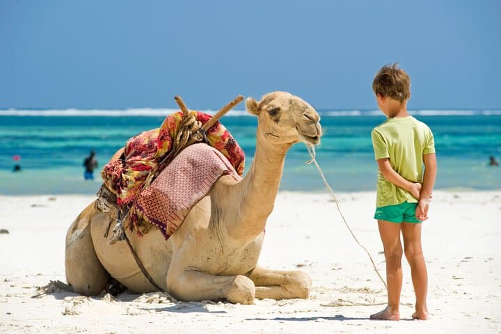 Tangier Scenic Drive and Camel Trek: Cape Spartel & Hercules Caves photo 3